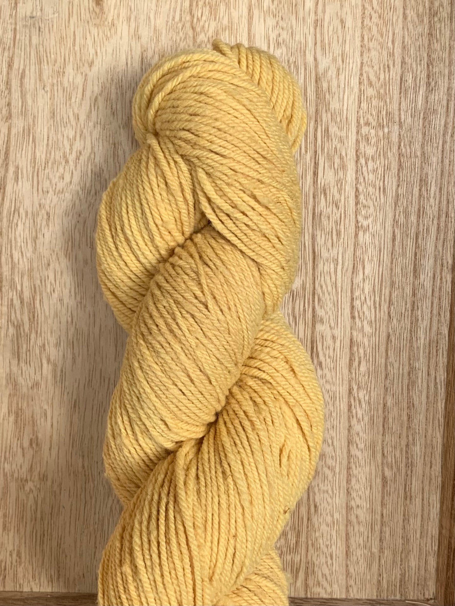 Inaugural 100% Made in Montana Worsted Yarn (100g)