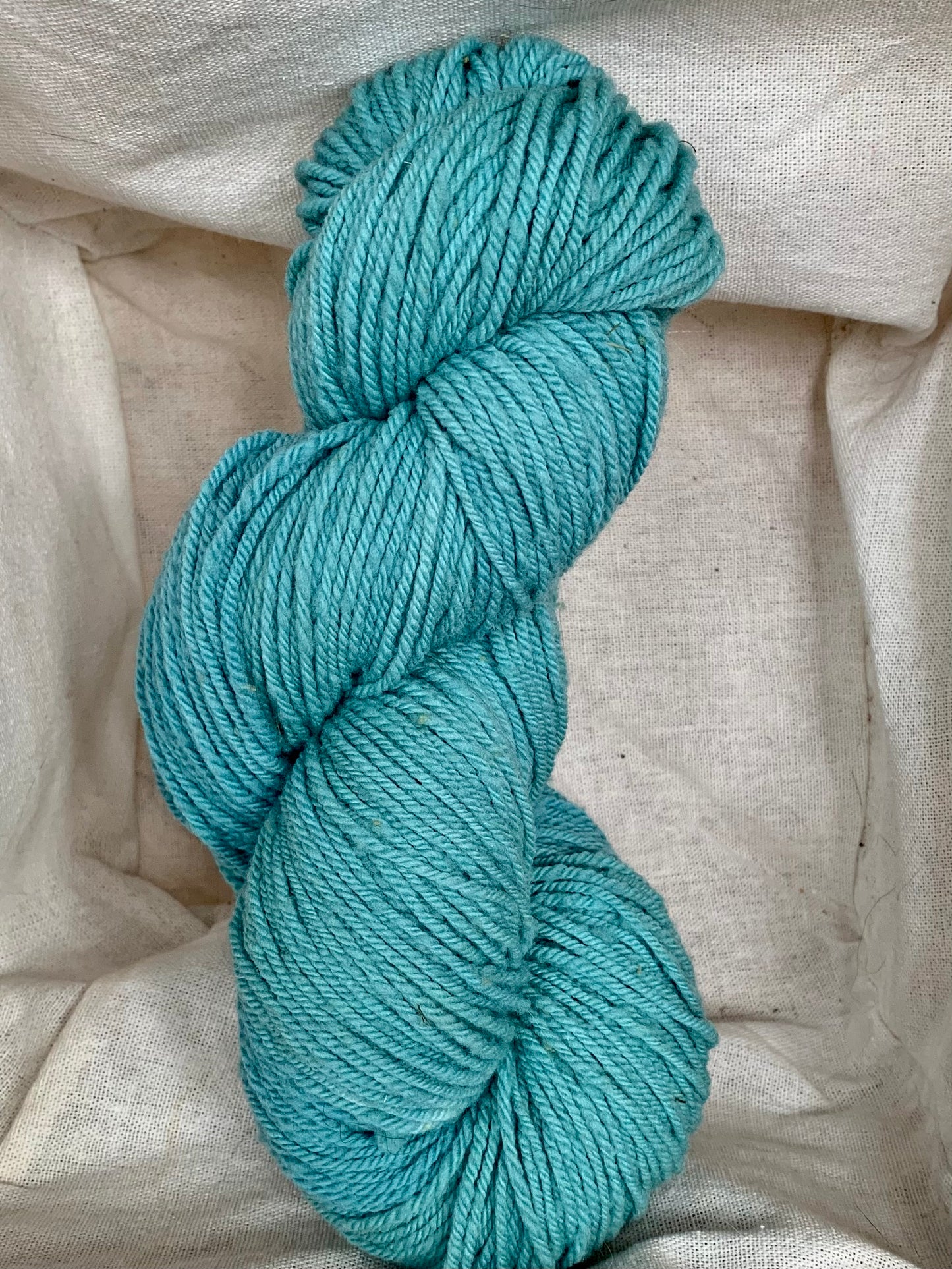 Inaugural 100% Made in Montana Worsted Yarn (100g)